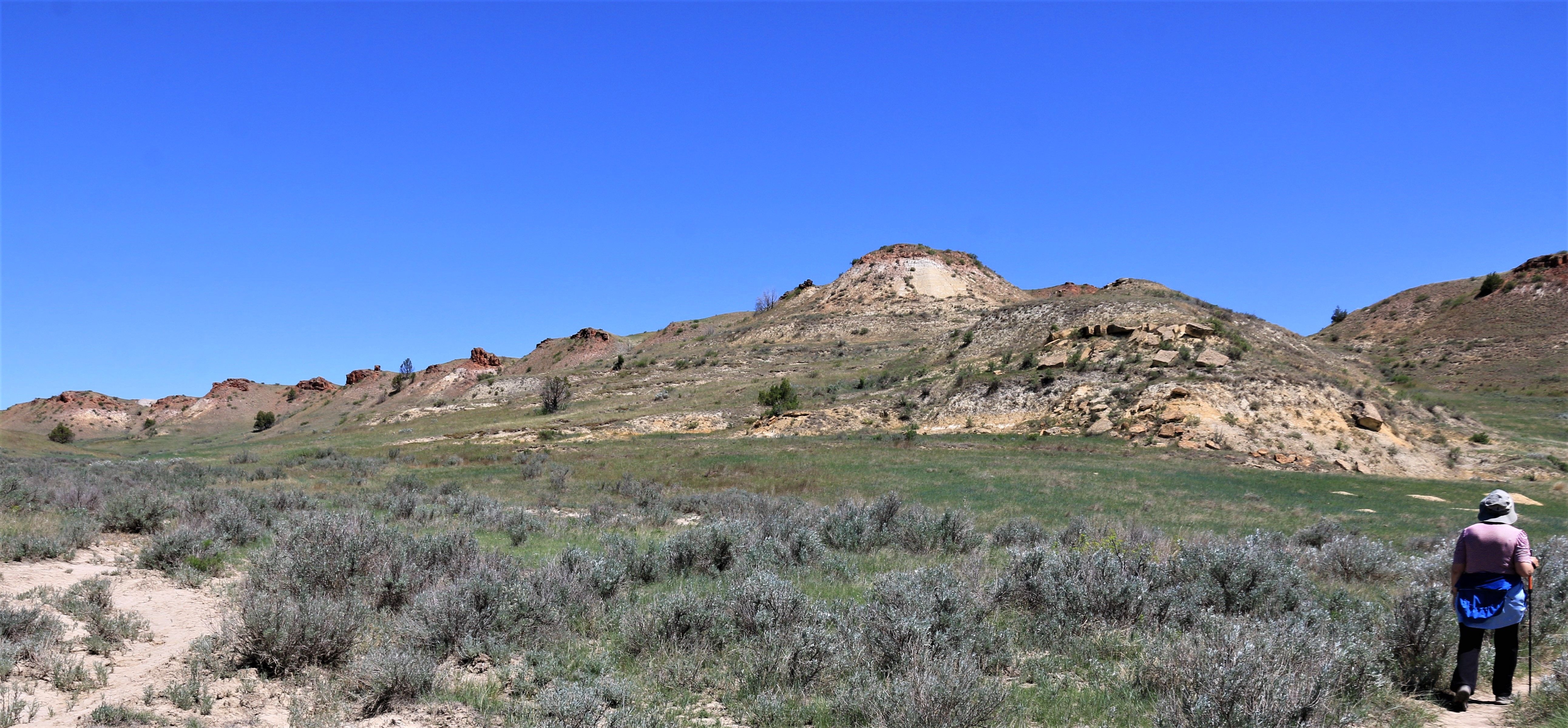 Theodore Roosevelt NP